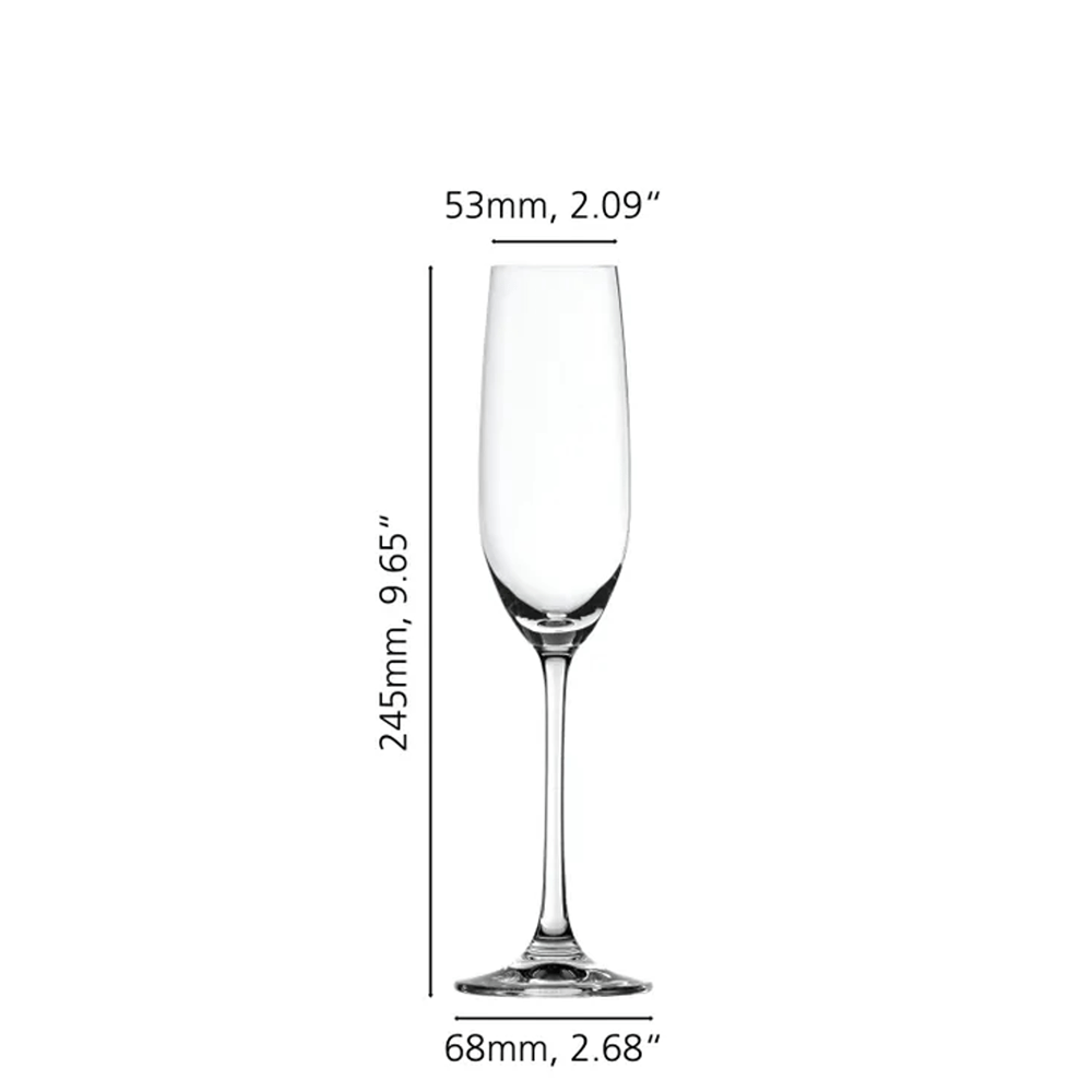 Spiegelau-Salute-Champagne-Glass-4720175-20261025050425.png